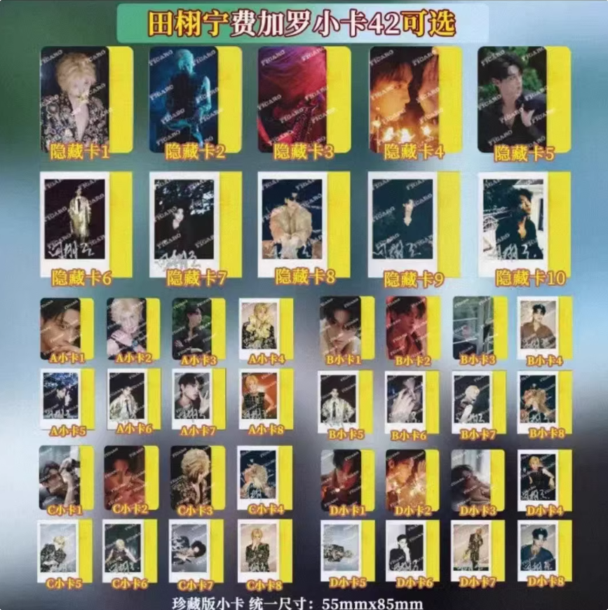 Tian Xuning Official Merch - Madame Figaro Print Magazine