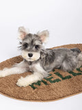 Hou Minghao x PLUG-IN PET Kiwi Plush Carpet + Post Card Benefit