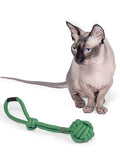 [In stock] Hou Minghao x PLUG-IN PET Pet Toy for Dogs + Post Card Benefit